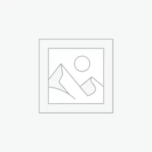 Champagne Sponge Cake